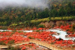 【川西環(huán)線】海螺溝、丹巴四姑娘山米亞羅